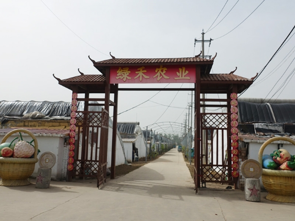 綠禾農業